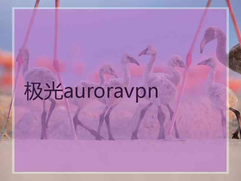 极光auroravpn