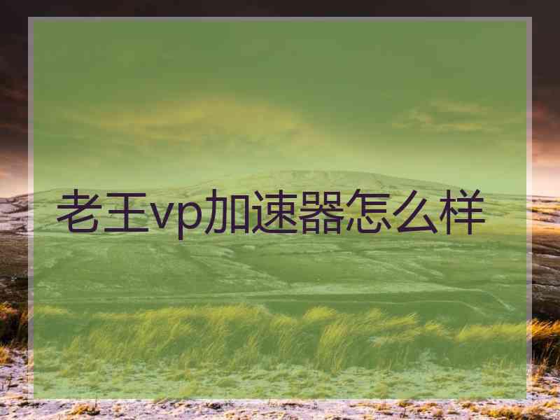 老王vp加速器怎么样