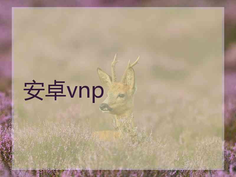 安卓vnp