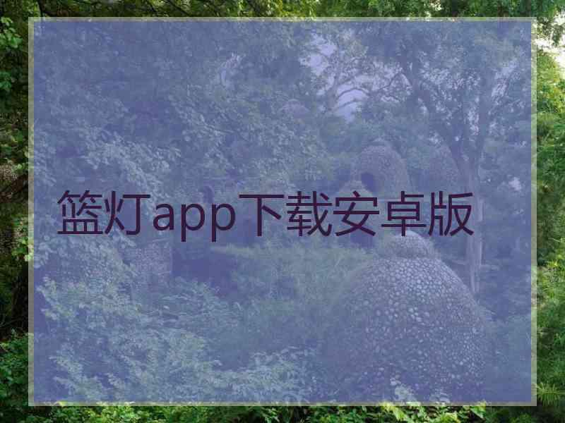 篮灯app下载安卓版