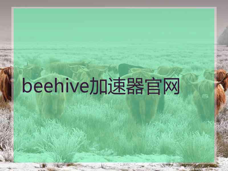 beehive加速器官网