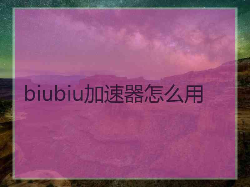 biubiu加速器怎么用