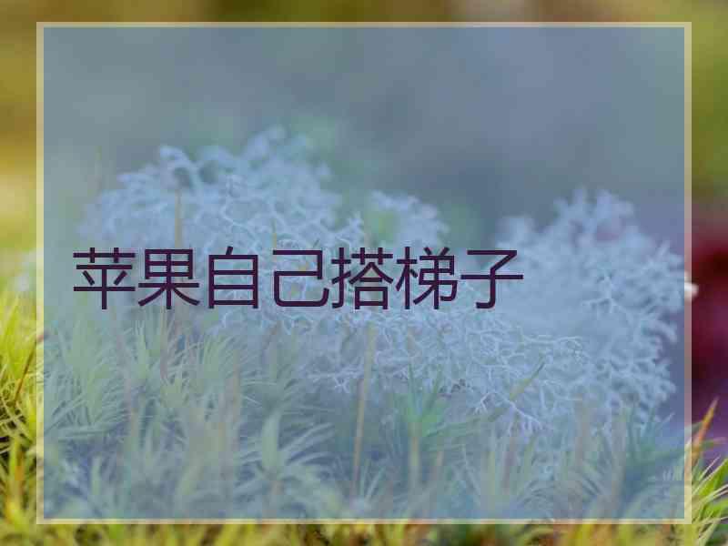 苹果自己搭梯子