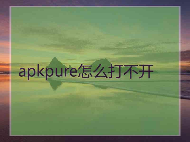 apkpure怎么打不开