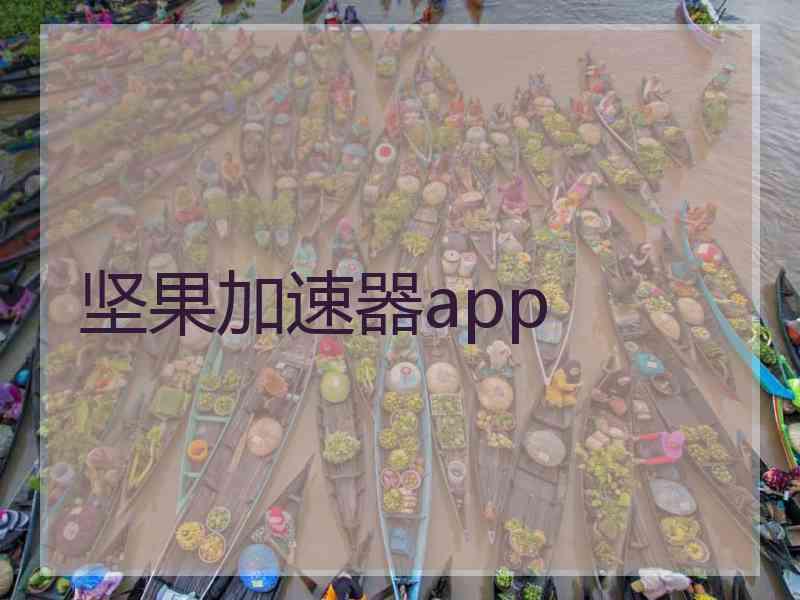 坚果加速器app