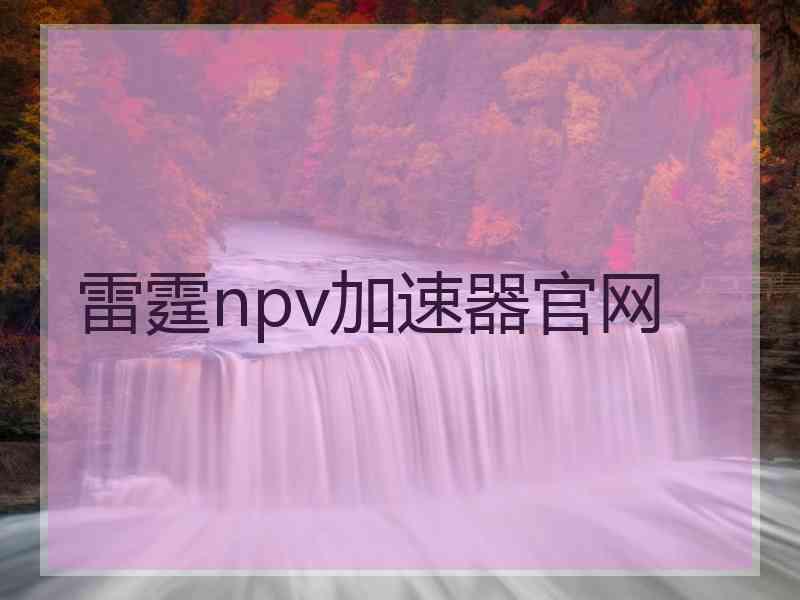 雷霆npv加速器官网