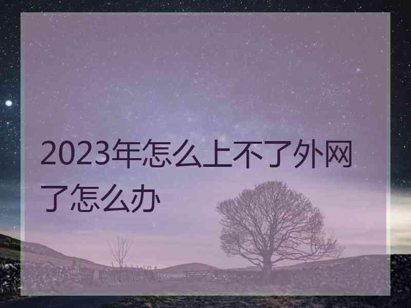 2023年怎么上不了外网了怎么办