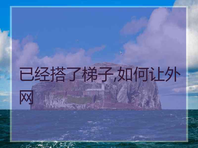 已经搭了梯子,如何让外网