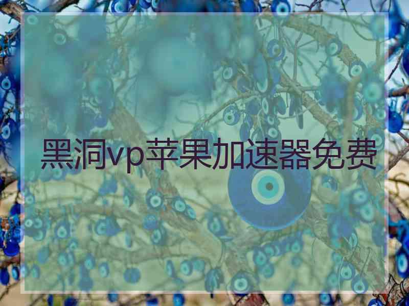 黑洞vp苹果加速器免费