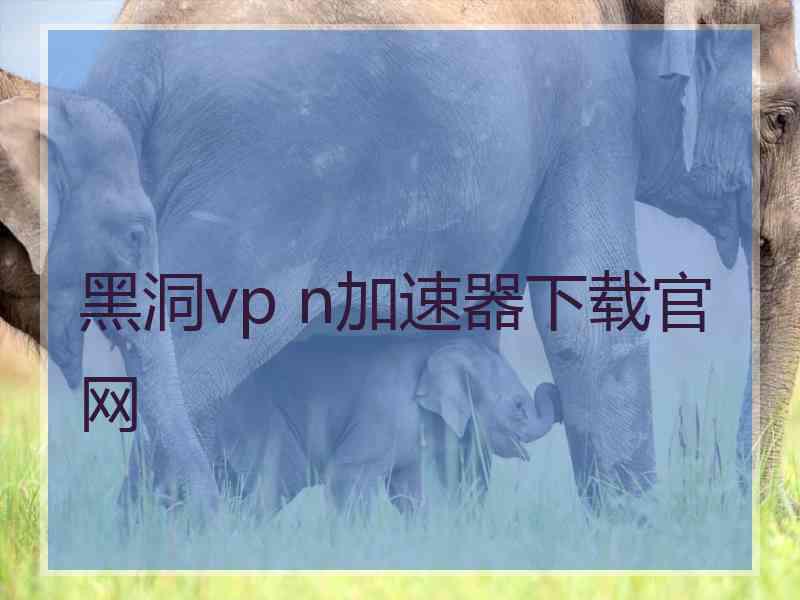 黑洞vp n加速器下载官网