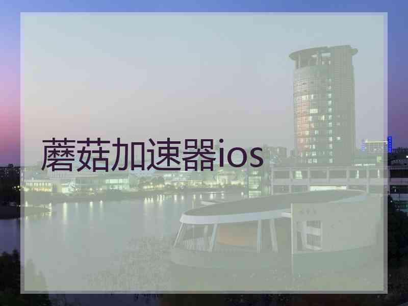 蘑菇加速器ios