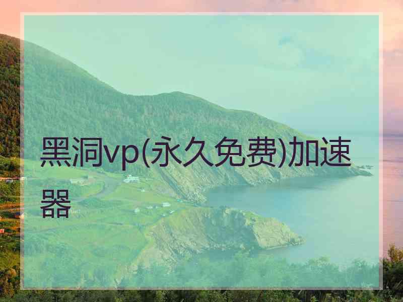 黑洞vp(永久免费)加速器