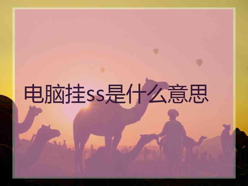 电脑挂ss是什么意思